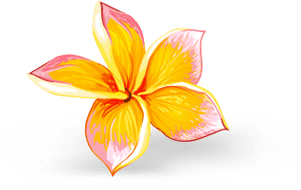 Shape Image